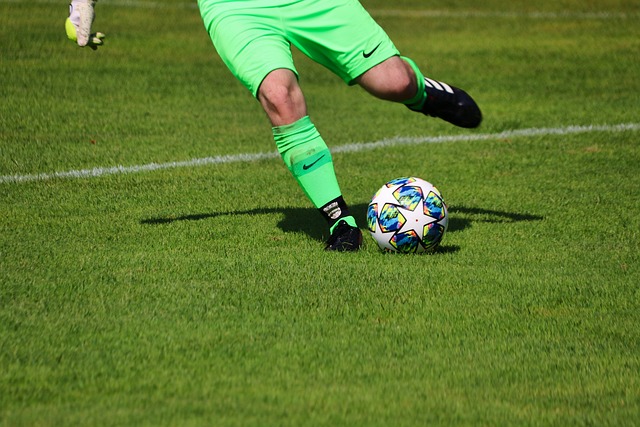 才提供了就 才提供了就