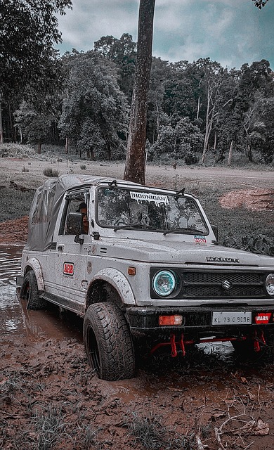 旨在寻找极 旨在寻找极