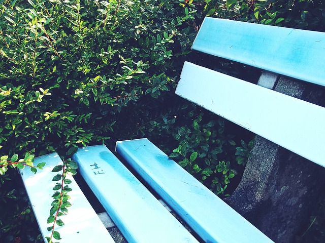 展自己的技 展自己的技