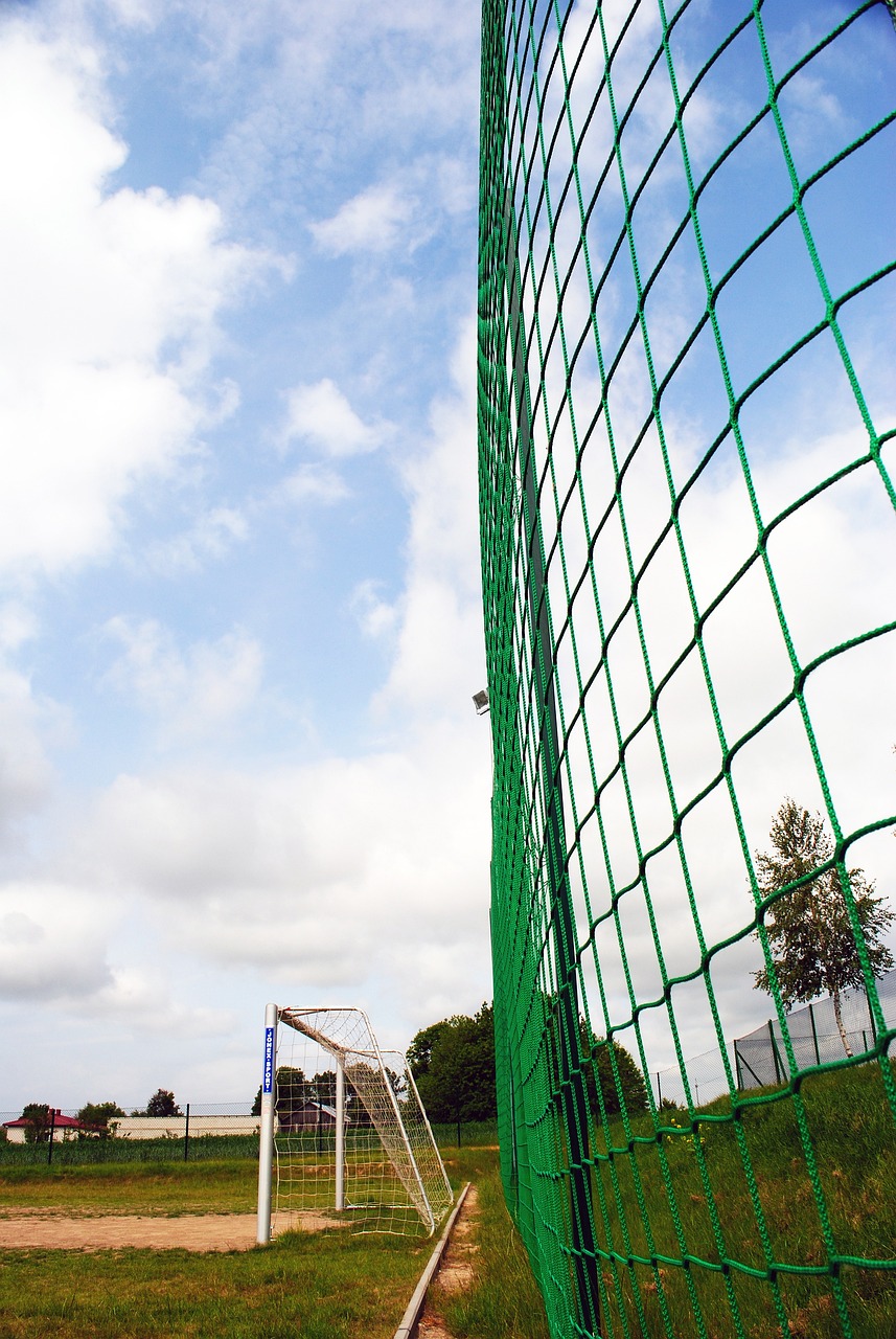 限制住青岛 限制住青岛